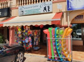 FREEHOLD BUSINESS For Sale in BENA VISTA COMMERCIAL CENTRE - El PARAISO, Situated Between Marbella and Estepona